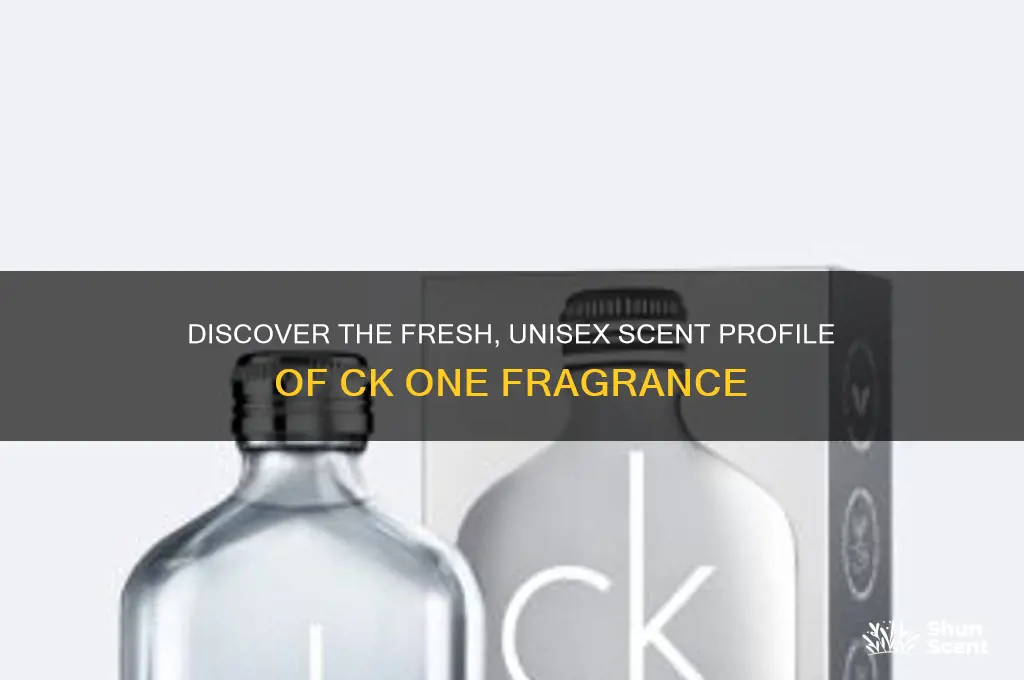 what scent is ck one