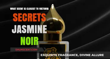 Discover the Perfect Scent Match for Victoria's Secret Jasmine Noir