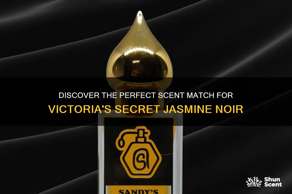 what scent is closest to victoria secrets jasmine noir