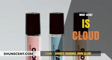 What Scent is Cloud? Unveiling the Aromatic Mystery of Cloud Fragrances