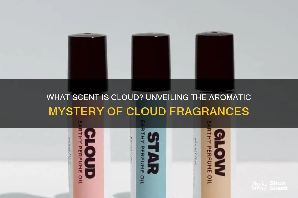 what scent is cloud
