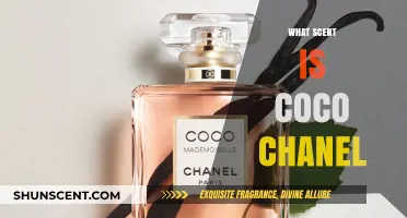 Unveiling Coco Chanel's Signature Scent: A Timeless Fragrance Legacy