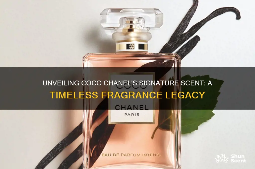 what scent is coco chanel