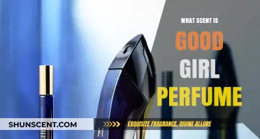 Discover the Perfect Scent: What Makes Good Girl Perfume Irresistible?