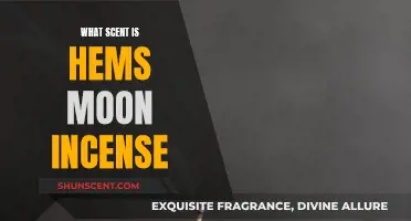 Hems Moon Incense: A Fragrant, Woody, and Earthy Blend
