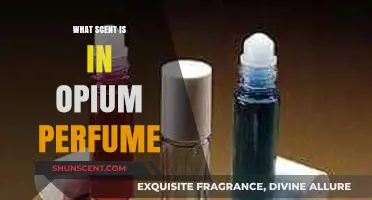 Unveiling the Mystical Aromas: What Scent is in Opium Perfume?