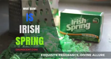 Unveiling the Fresh, Invigorating Scent of Irish Spring Soap