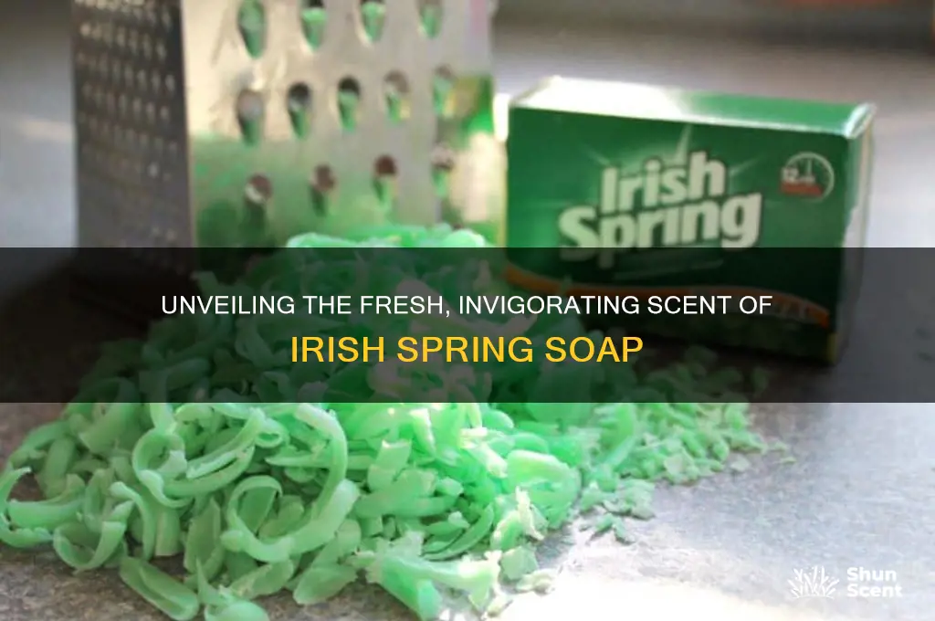 what scent is irish spring
