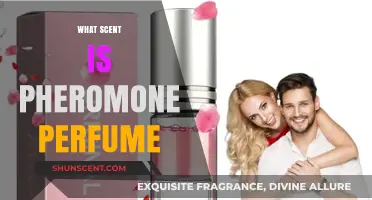 Unveiling Pheromone Perfume: Understanding Its Unique Scent and Appeal