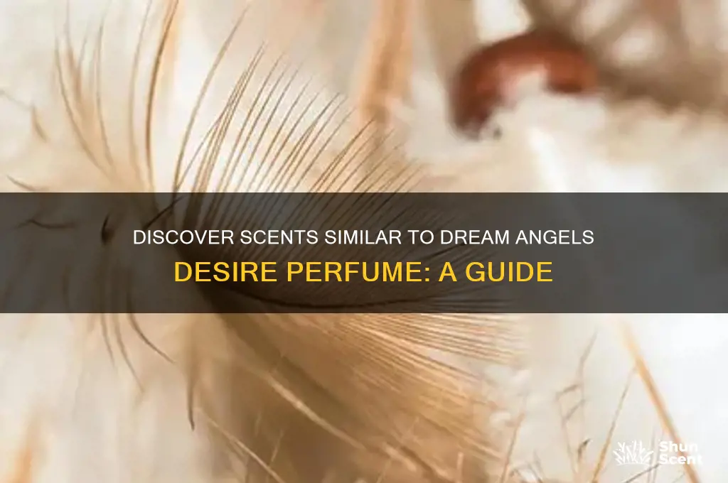 what scent is similar to dream angels desire perfume