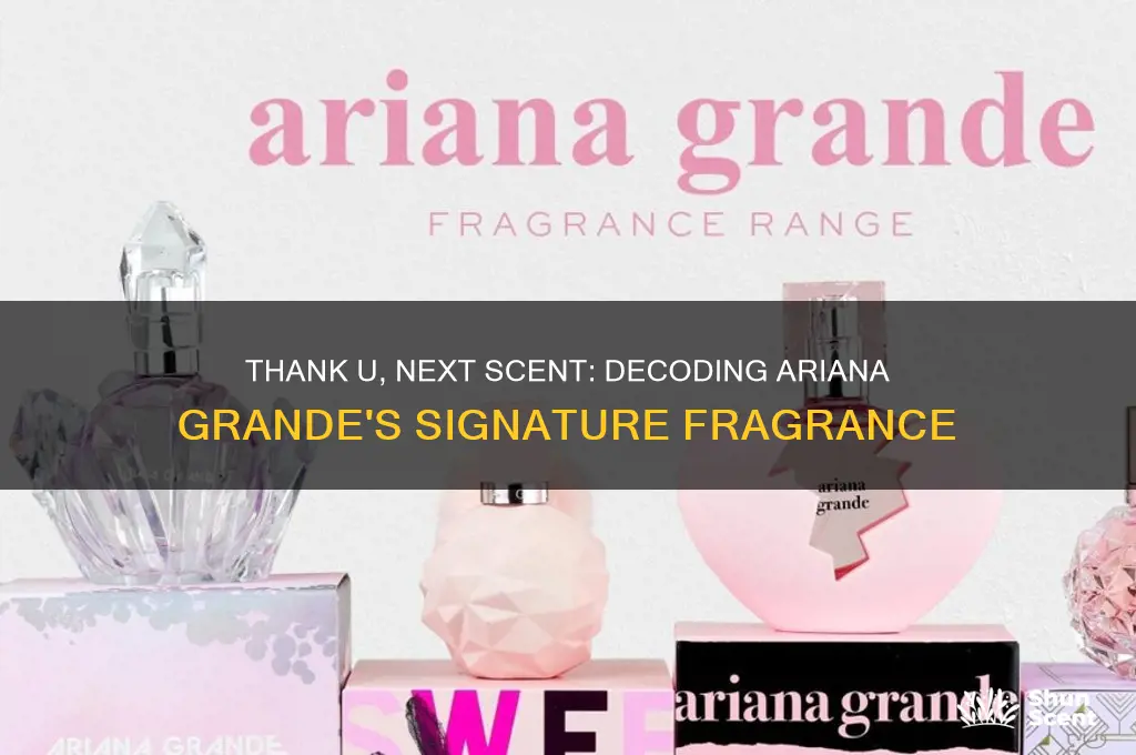 what scent is thank you next