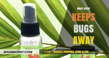 Natural Bug Repellents: Scents That Keep Insects at Bay