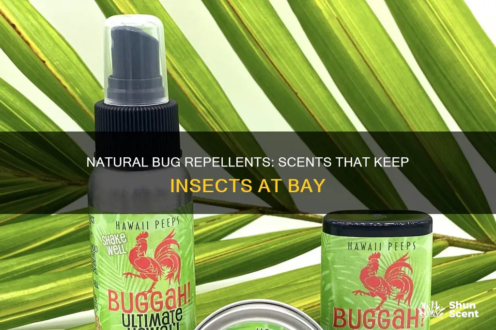 what scent keeps bugs away