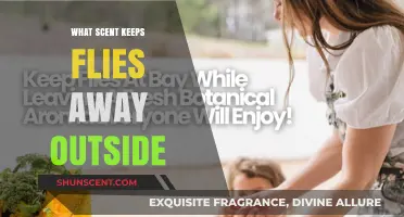 Effective Outdoor Scents to Repel Flies and Enjoy Pest-Free Spaces