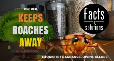 Effective Scents to Repel Roaches: Natural Solutions for a Pest-Free Home