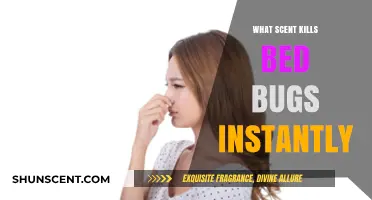 Instant Bed Bug Elimination: Discover the Scent That Kills Them Fast