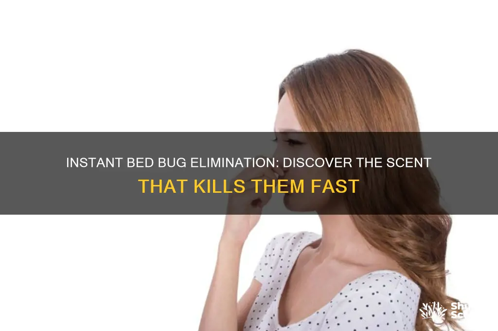 what scent kills bed bugs instantly