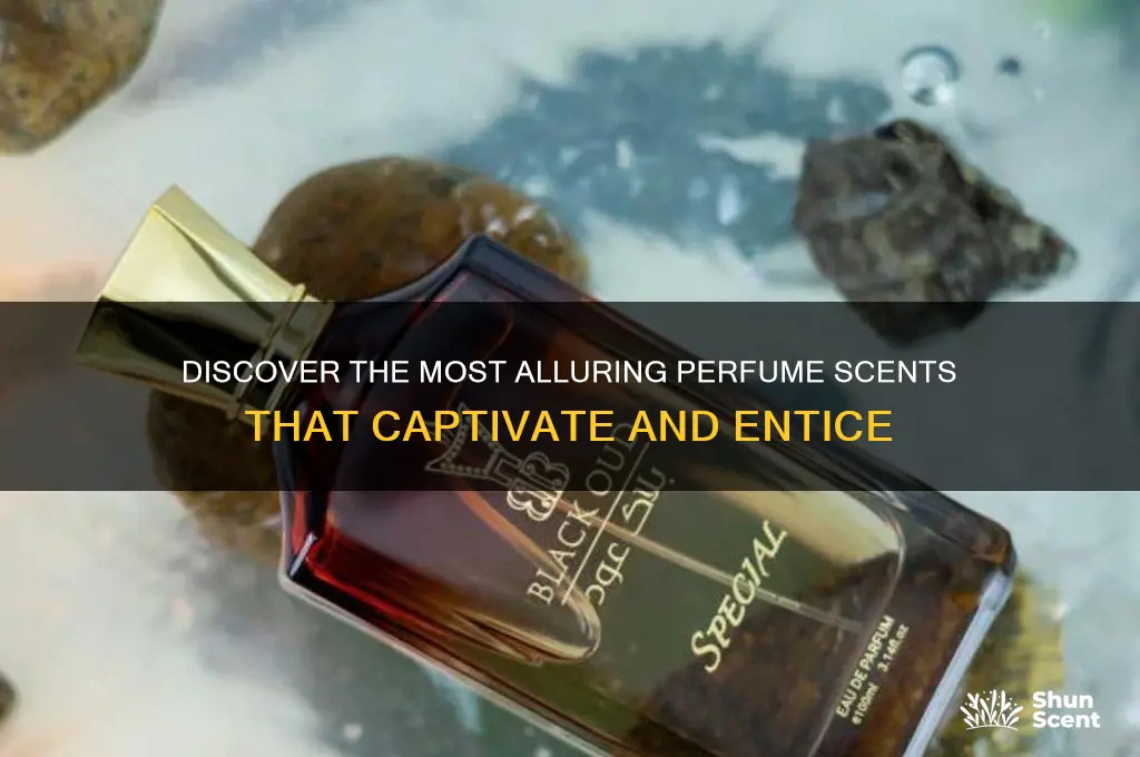 what scent of perfume is most attractive