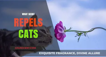 Effective Scents to Keep Cats Away: A Comprehensive Guide