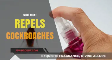 Effective Scents to Keep Cockroaches Away: Natural Repellents Revealed