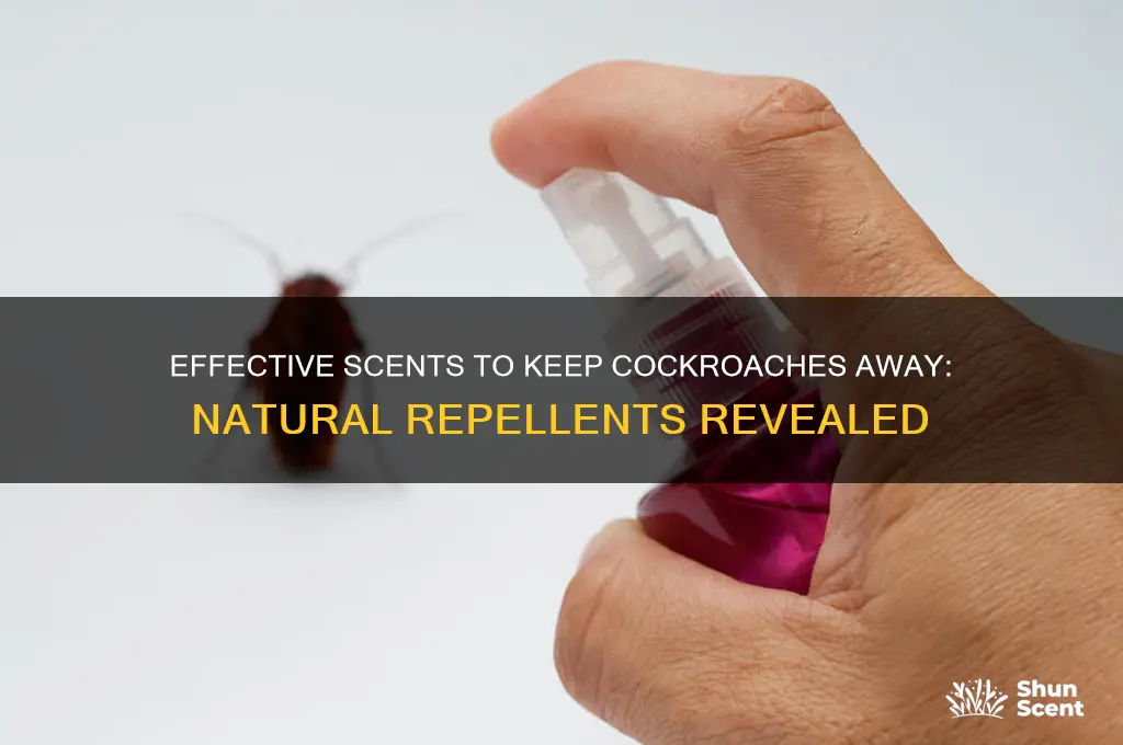 what scent repels cockroaches