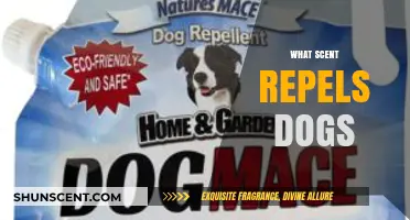 Effective Scents to Keep Dogs Away: A Comprehensive Guide