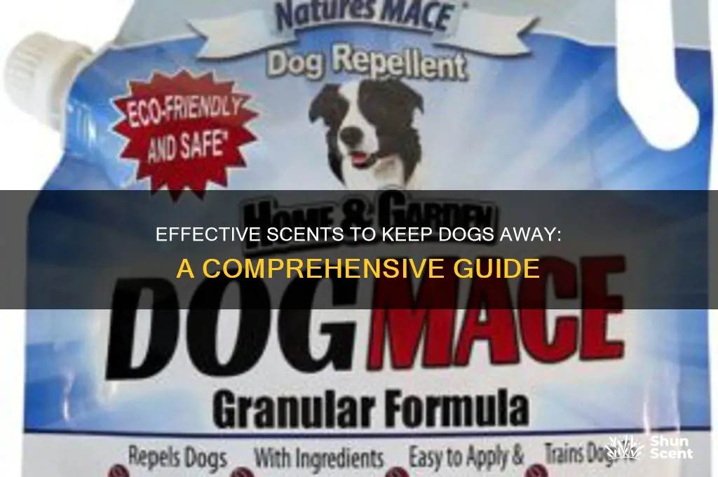 what scent repels dogs