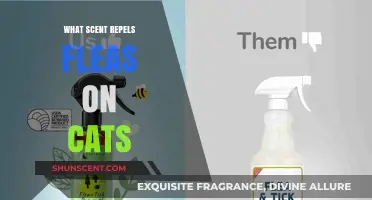 Effective Natural Scents to Repel Fleas on Cats Safely