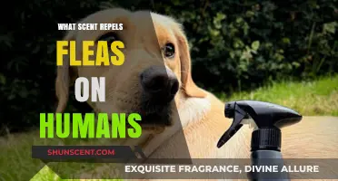 Natural Flea Repellents: Scents That Keep Fleas Away from Humans