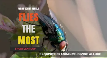 Discover the Most Effective Fly-Repelling Scents for Your Home