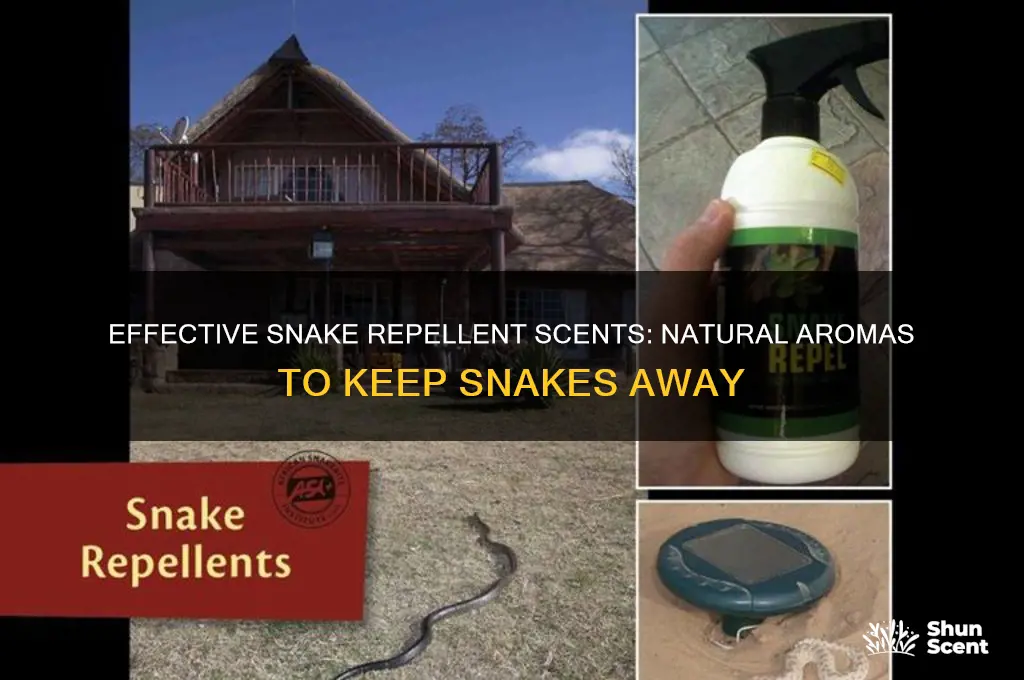 what scent repels snakes