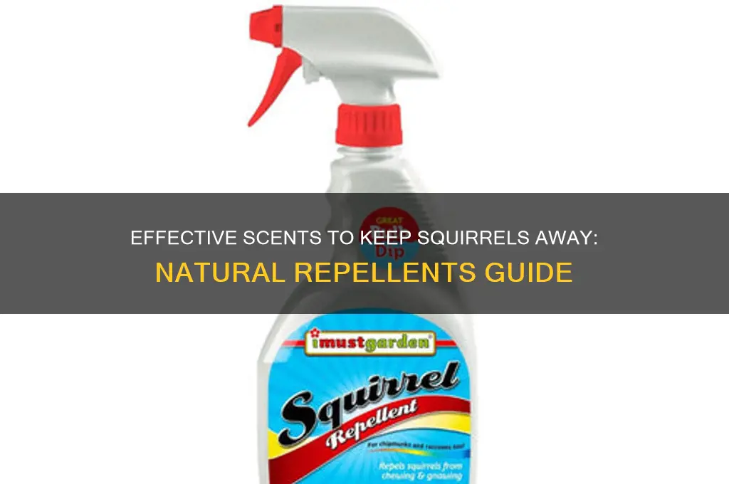 what scent repels squirrels