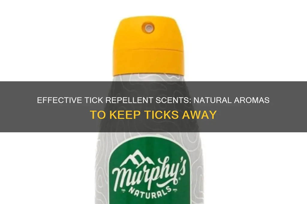 what scent repels ticks