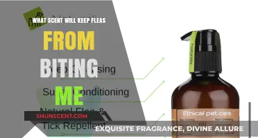 Natural Flea Repellents: Scents to Keep Fleas at Bay