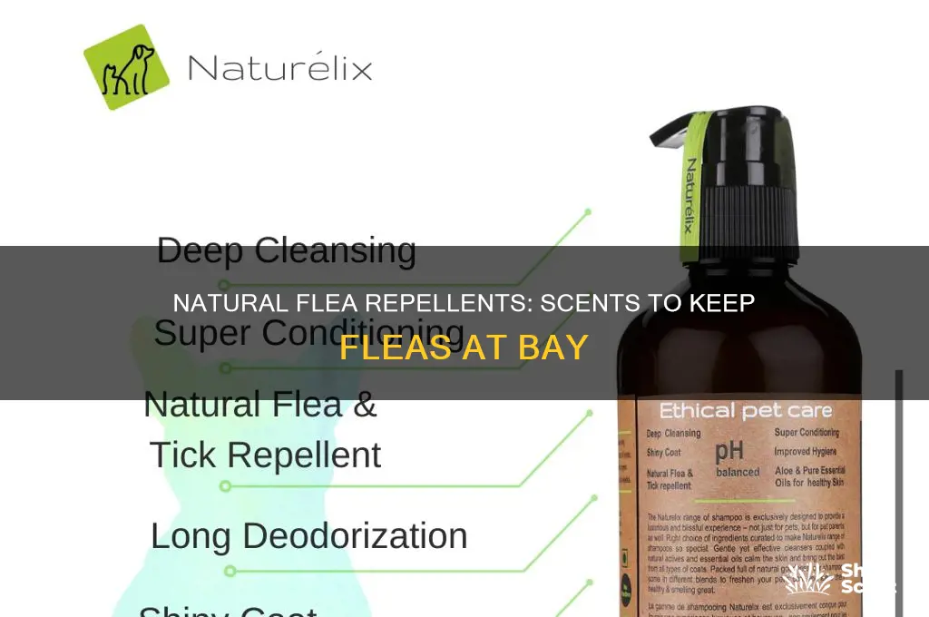 what scent will keep fleas from biting me