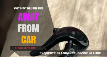 Effective Scents to Repel Mice from Your Car: A Complete Guide