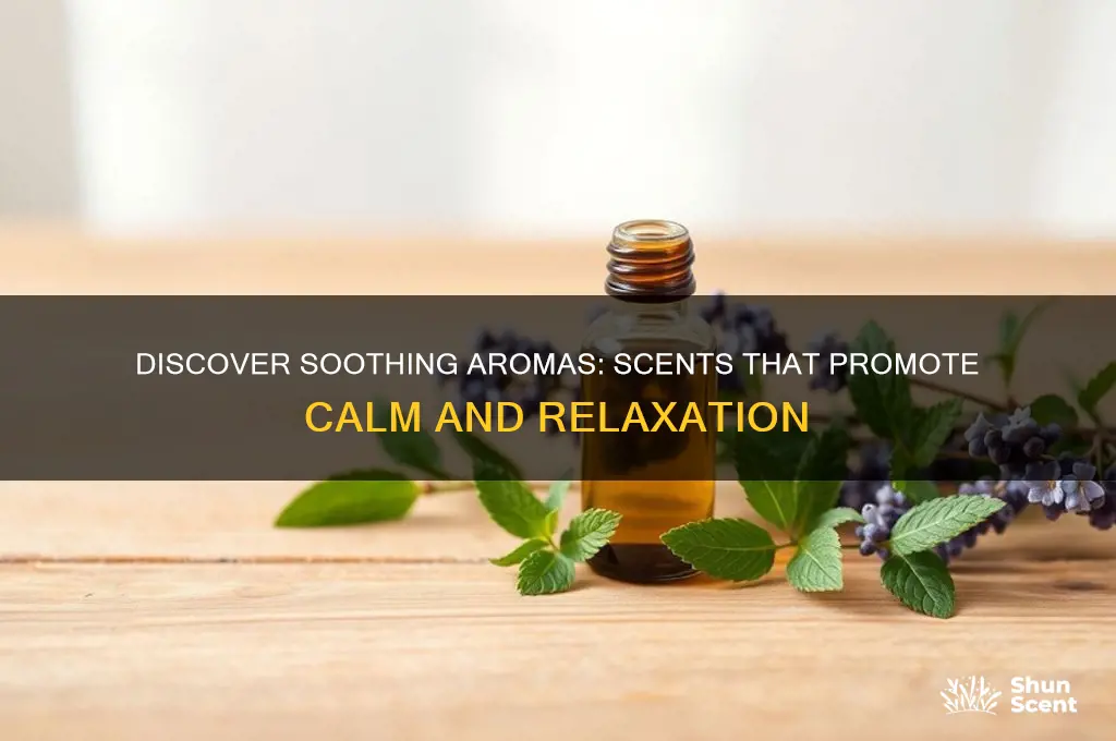 what scents are calming