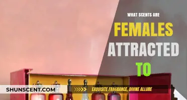 Scents That Captivate: What Aromas Attract Women Most?