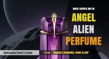 Discover the Celestial Scents in Angel Alien Perfume