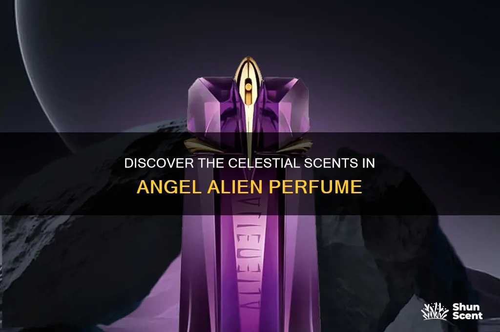 what scents are in angel alien perfume