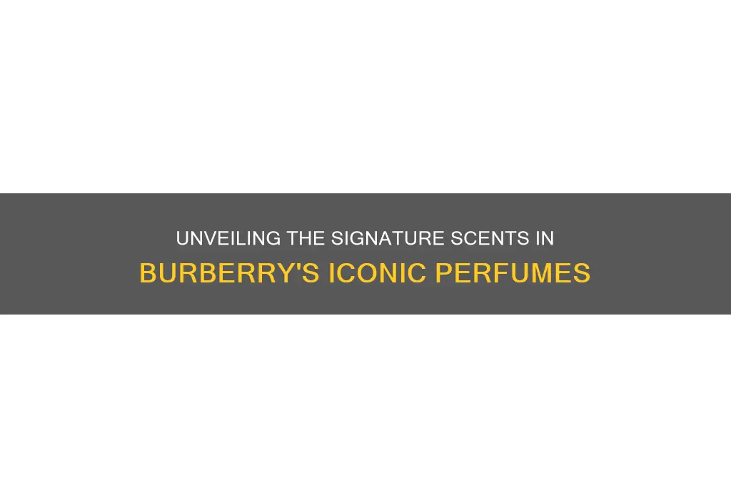 what scents are in burberry perfume