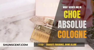 The Alluring Scents of Chloé Absolu de Parfum