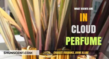 Unveiling Cloud Perfume: A Guide to Its Mystical Aromatic Ingredients
