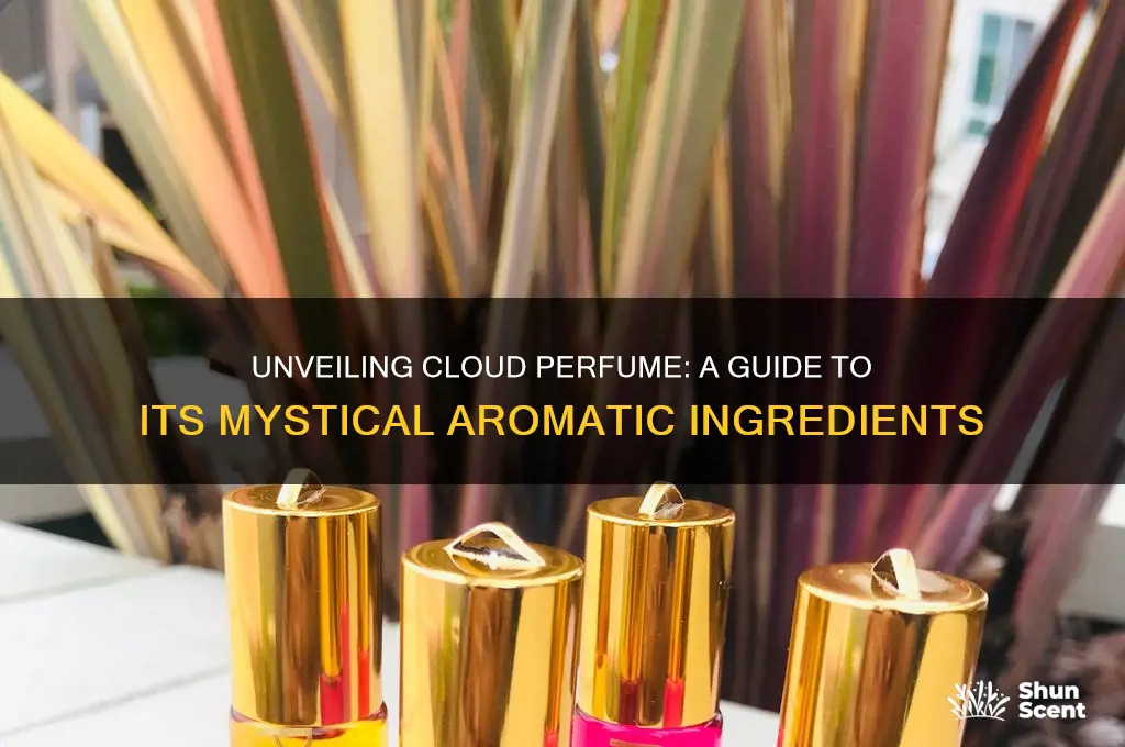 what scents are in cloud perfume