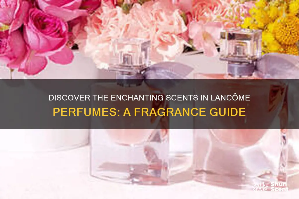 what scents are in lancome perfume