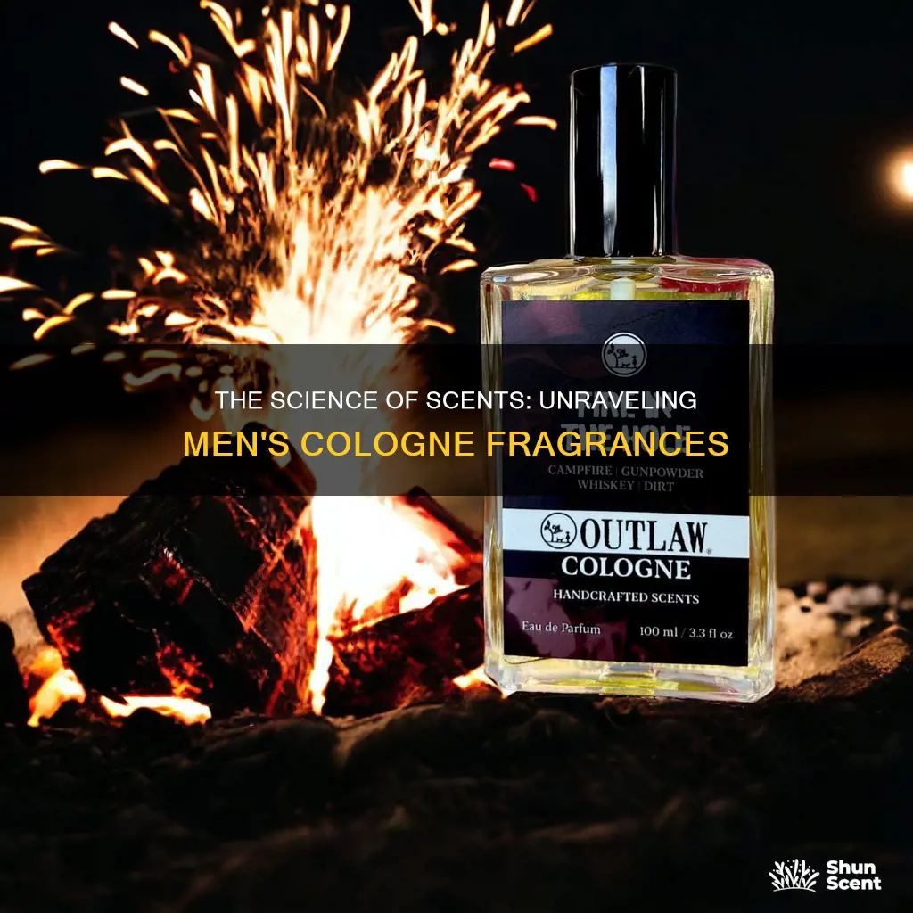 what scents are in men