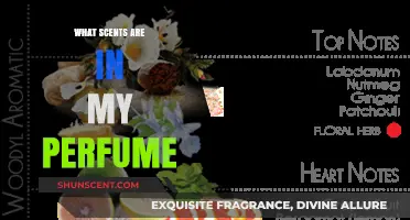 Unveiling the Aromatic Secrets: Decoding the Scents in Your Perfume