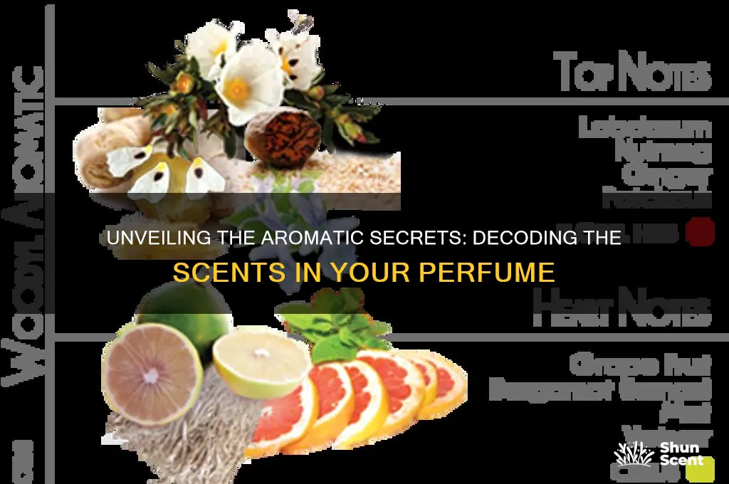what scents are in my perfume