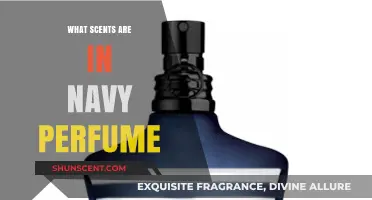 Exploring the Aromatic Notes: Unveiling Navy Perfume's Signature Scents