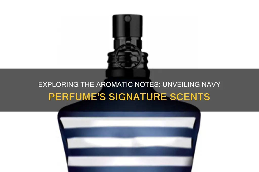 what scents are in navy perfume